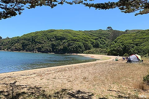 A small tent is set up above a sandy beach that bends to the left in the distance. Calm water in a bay is on the left, a forest on the right.