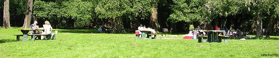 Picnickers eating lunch at picnic tables in a meadow near some trees.