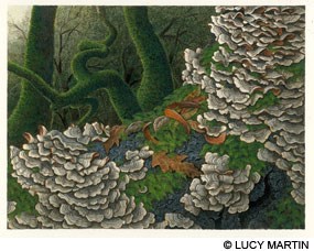 A painting of gray scaly mushrooms growing on moss-covered trees.