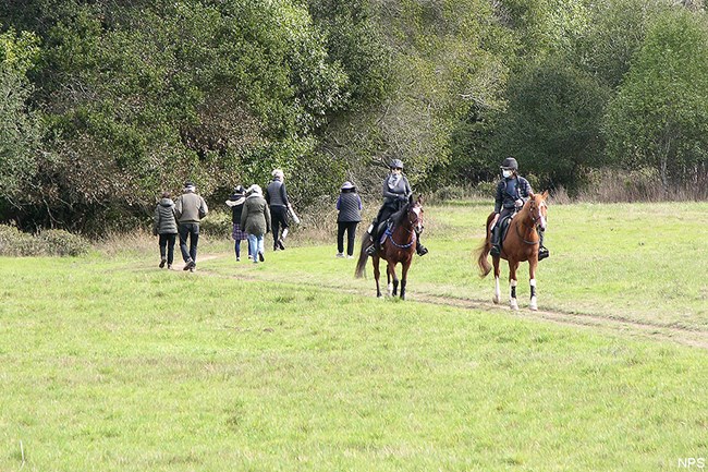 Two horse riders riding toward us pass by six hikers on a trail crossing a meadow.