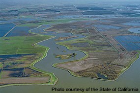 An aerial photograph of a large river delta with flat islands separated by channels of water.