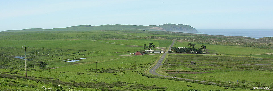 The Spaletta Ranch (aka Historic C Ranch) with the Point Reyes Headlands in the background on June 19, 2016. A narrow road winds through tan and green pastureland, through a cluster of buildings, and off toward a rocky headland on the edge of the ocean.