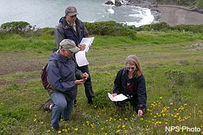 Weed Watchers documenting invasive plants