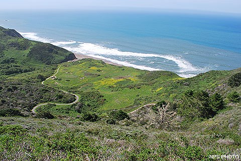 Mirando hacia abajo desde una alta elevación a un despeje de hierba, que es la ubicación del Campground Wildcat. Está rodeado de colinas vegetadas a la izquierda y a la derecha. El Océano Pacífico llena gran parte del cuarto superior de la imagen.