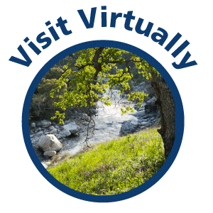 oak tree over a river. Text reads visit virtually