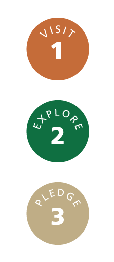 graphic with 3 circles. 1-Visit. 2-Explore. 3-Pledge