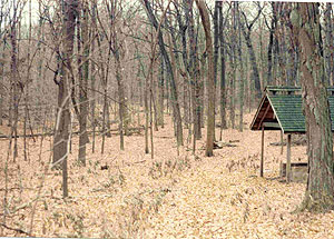Abraham's Woods Abraham's Woods