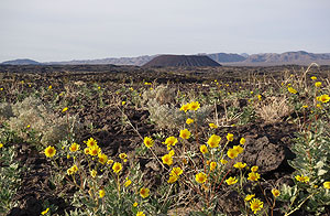 Amboy Crater Amboy Crater