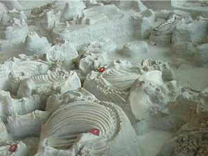 Ashfall Fossil Beds Ashfall Fossil Beds