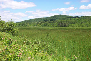 Barton River Marsh Barton River Marsh