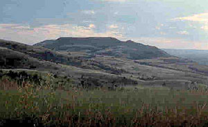 Bijou Hills Bijou Hills