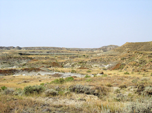 Bug Creek Fossil Area Bug Creek Fossil Area