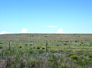 Bueyeros Shortgrass Plains Bueyeros Shortgrass Plains