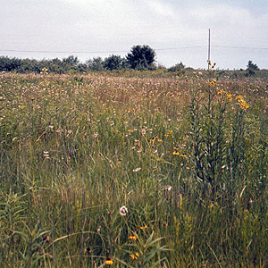 Chiwaukee Prairie Chiwaukee Prairie