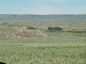 Cloverly Formation Site Cloverly Formation Site