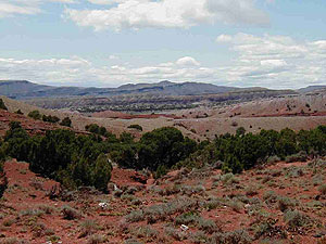 Crooked Creek Natural Area Crooked Creek Natural Area