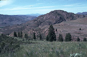 Davis Canyon Davis Canyon