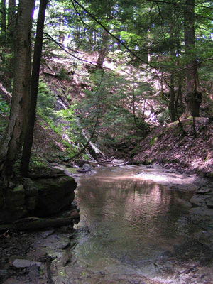 Deer Lick Nature Sanctuary Deer Lick Nature Sanctuary