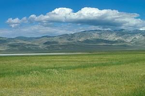Deep Springs Marsh Deep Springs Marsh