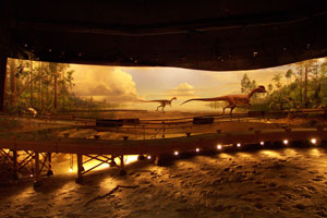 Dinosaur Trackway Dinosaur Trackway