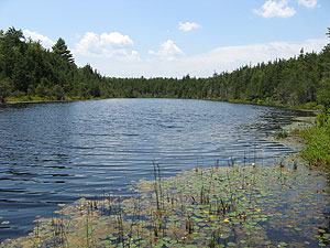 Ell Pond Ell Pond