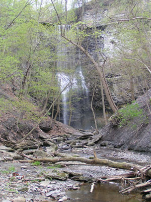 Fall Brook Gorge Fall Brook Gorge