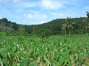 Fogama'a Crater Fogama'a Crater