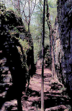 Giant City Geological Area Giant City Geological Area