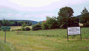 Grassy Cove Karst Area Grassy Cove Karst Area