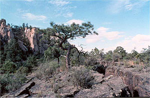 Grants Lava Flow Grants Lava Flow