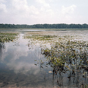 Grand Mere Lakes Grand Mere Lakes