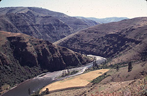 Grande Ronde Goosenecks Grande Ronde Goosenecks