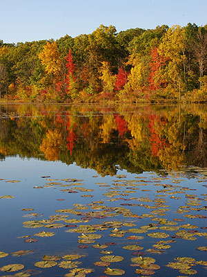 Haven Hill State Natural Area Haven Hill State Natural Area