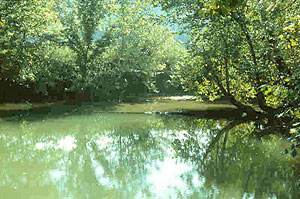 Harrison Spring Harrison Spring