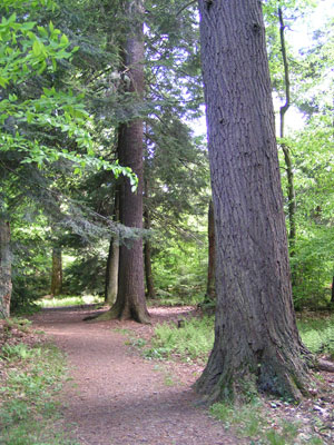 Hearts Content Scenic Area Hearts Content Scenic Area