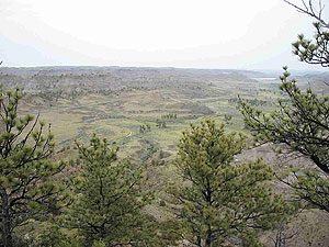 Hell Creek Fossil Area Hell Creek Fossil Area