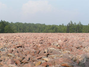Hickory Run Boulder Field Hickory Run Boulder Field