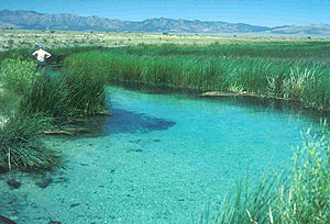 Hot Creek Springs and Marsh Hot Creek Springs and Marsh