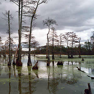 Horseshoe Lake Nature Preserve Horseshoe Lake Nature Preserve