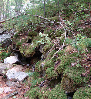 Ice Mountain Ice Mountain