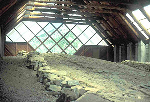 Ichthyosaur Site Ichthyosaur Site