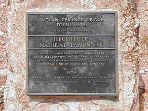 Indian Springs Trace Fossil Site Indian Springs Trace Fossil Site