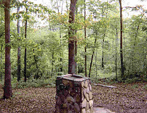 John de la Howe Forest John de la Howe Forest