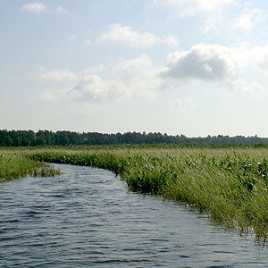 Kakagon Sloughs Kakagon Sloughs