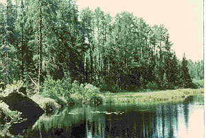 Keeley Creek Natural Area Keeley Creek Natural Area