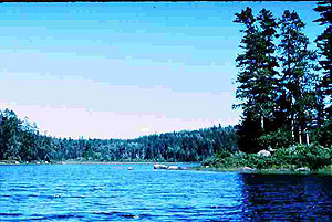 Lac La Croix Research Natural Area Lac La Croix Research Natural Area