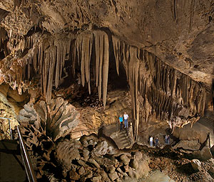 Lake Shasta Caverns Lake Shasta Caverns