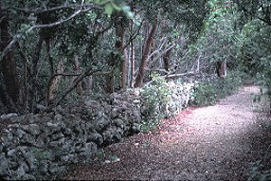 Lignumvitae Key Lignumvitae Key