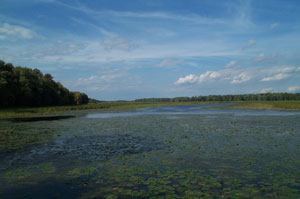 Little Otter Creek Marsh Little Otter Creek Marsh