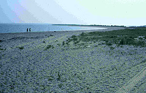 Long Beach, Orient State Park Long Beach, Orient State Park